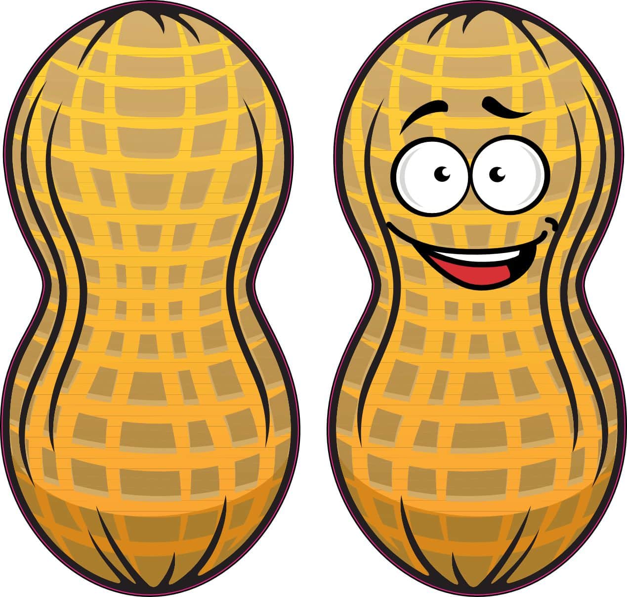 cartoon faces, textured shell pattern, googly eyes - vinyl removable sticker