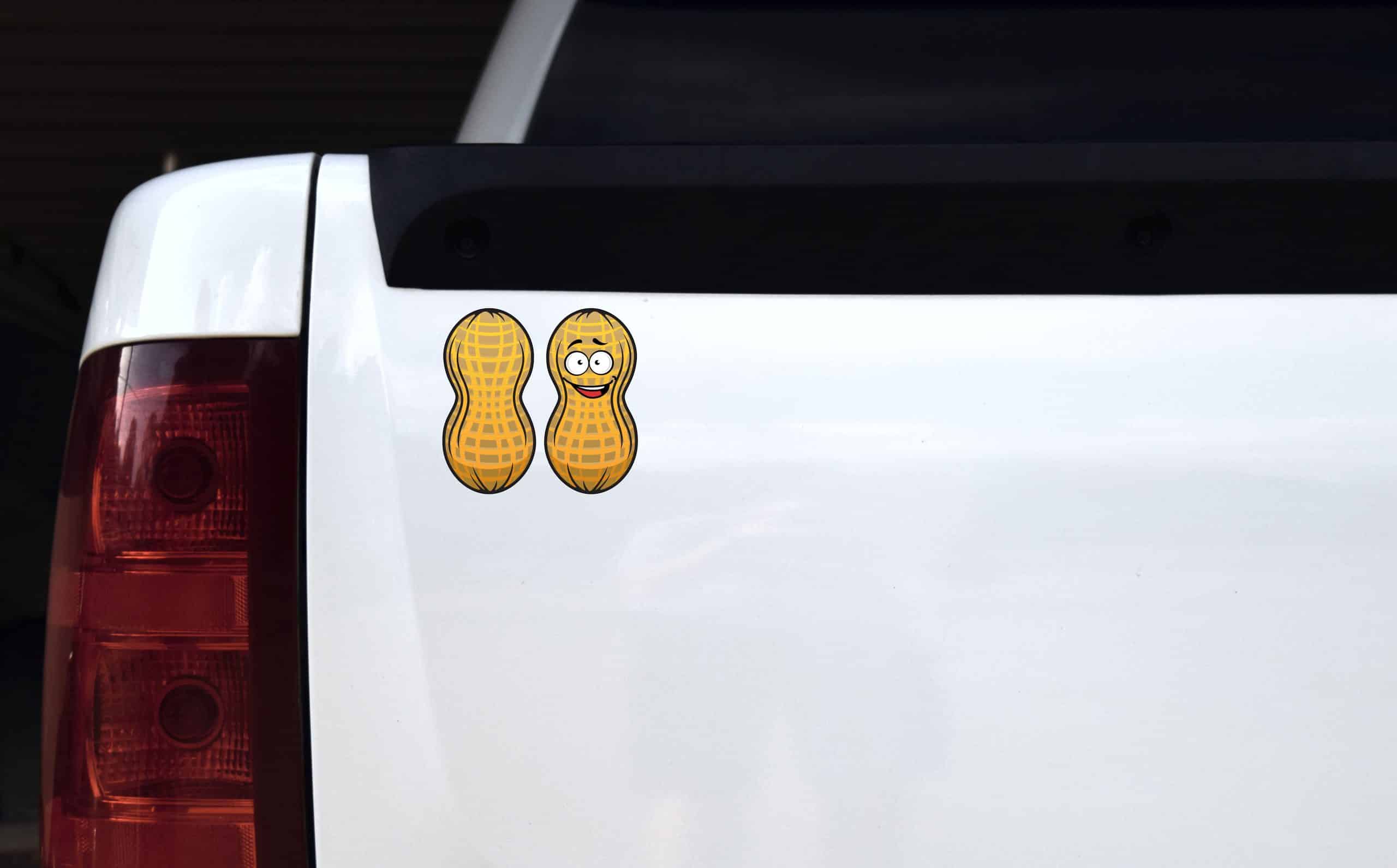cartoon faces, textured shell pattern, googly eyes - vinyl removable sticker