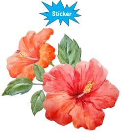 watercolor hibiscus flowers, coral-pink blooms, green foliage - vinyl removable sticker