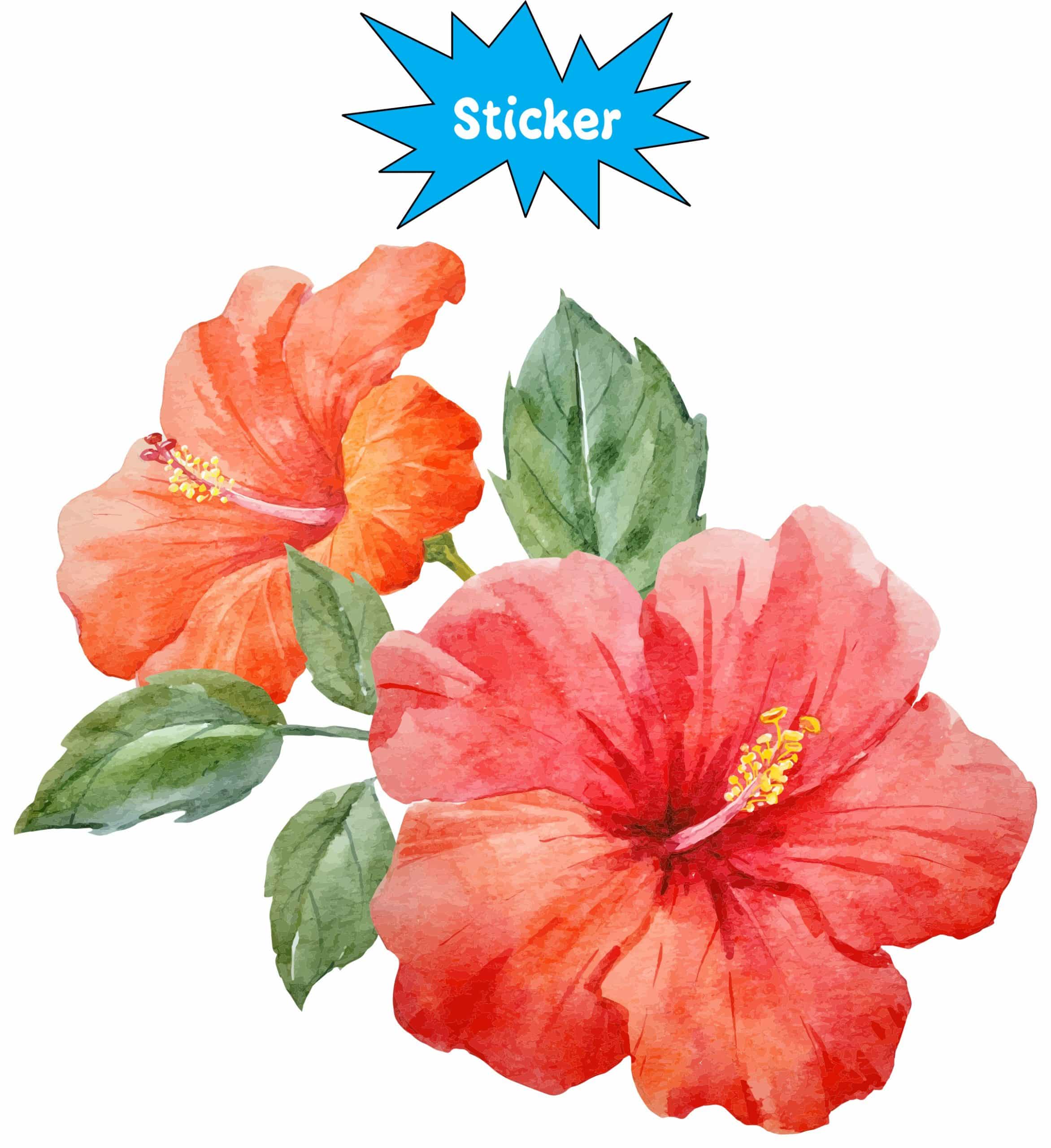 watercolor hibiscus flowers, coral-pink blooms, green foliage - vinyl removable sticker