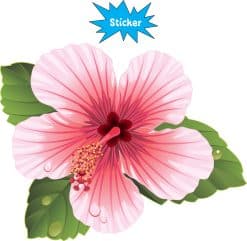 hibiscus flower, tropical leaves, water droplets - vinyl removable sticker