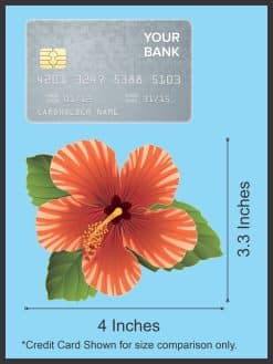 tropical hibiscus flower, radiating petal patterns, botanical details - vinyl removable sticker