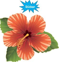 tropical hibiscus flower, radiating petal patterns, botanical details - vinyl removable sticker
