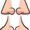 realistic nose shapes, flesh tone coloring, detailed shading - vinyl removable sticker