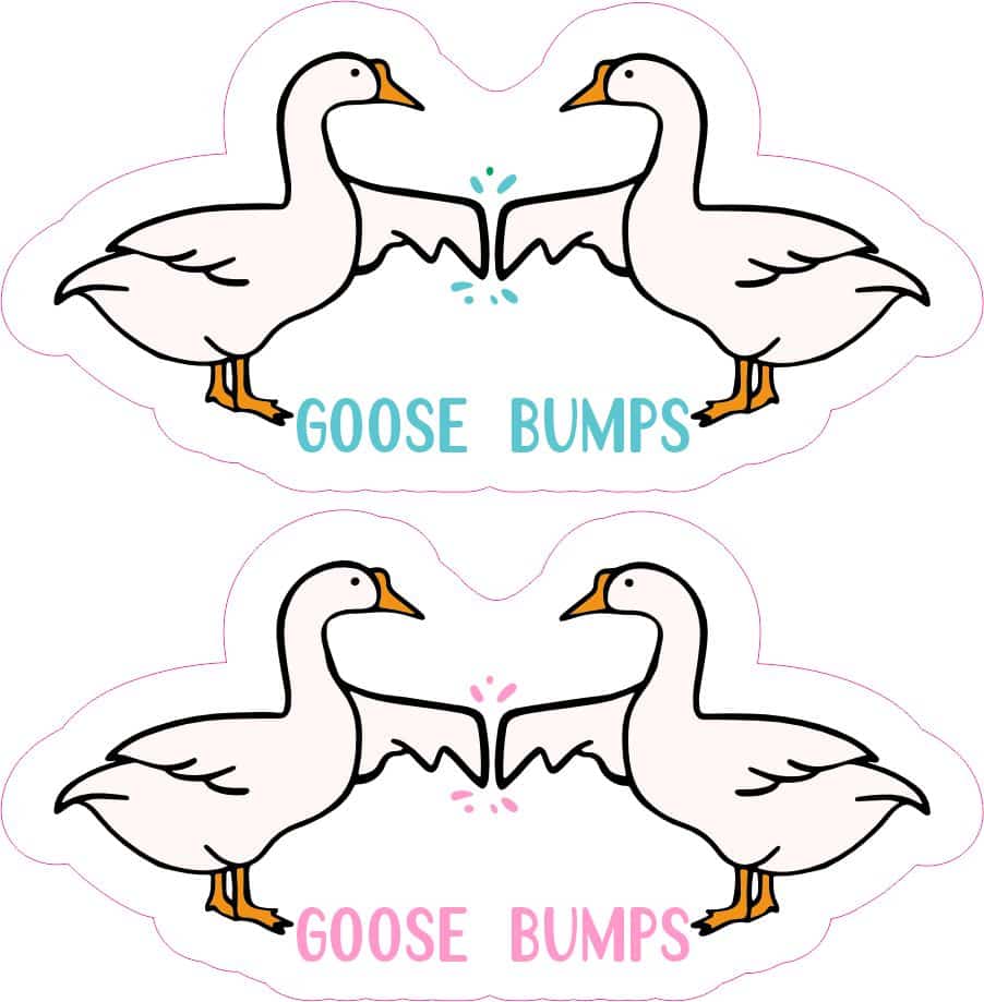 two white geese, decorative flourishes, pun text - vinyl removable sticker