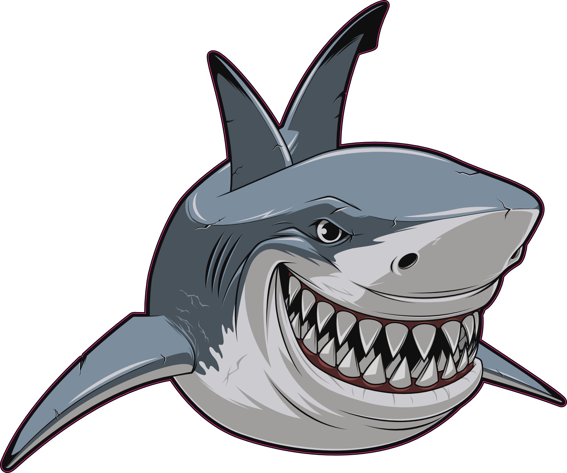 cartoon shark illustration, detailed teeth, gill slits - vinyl removable sticker