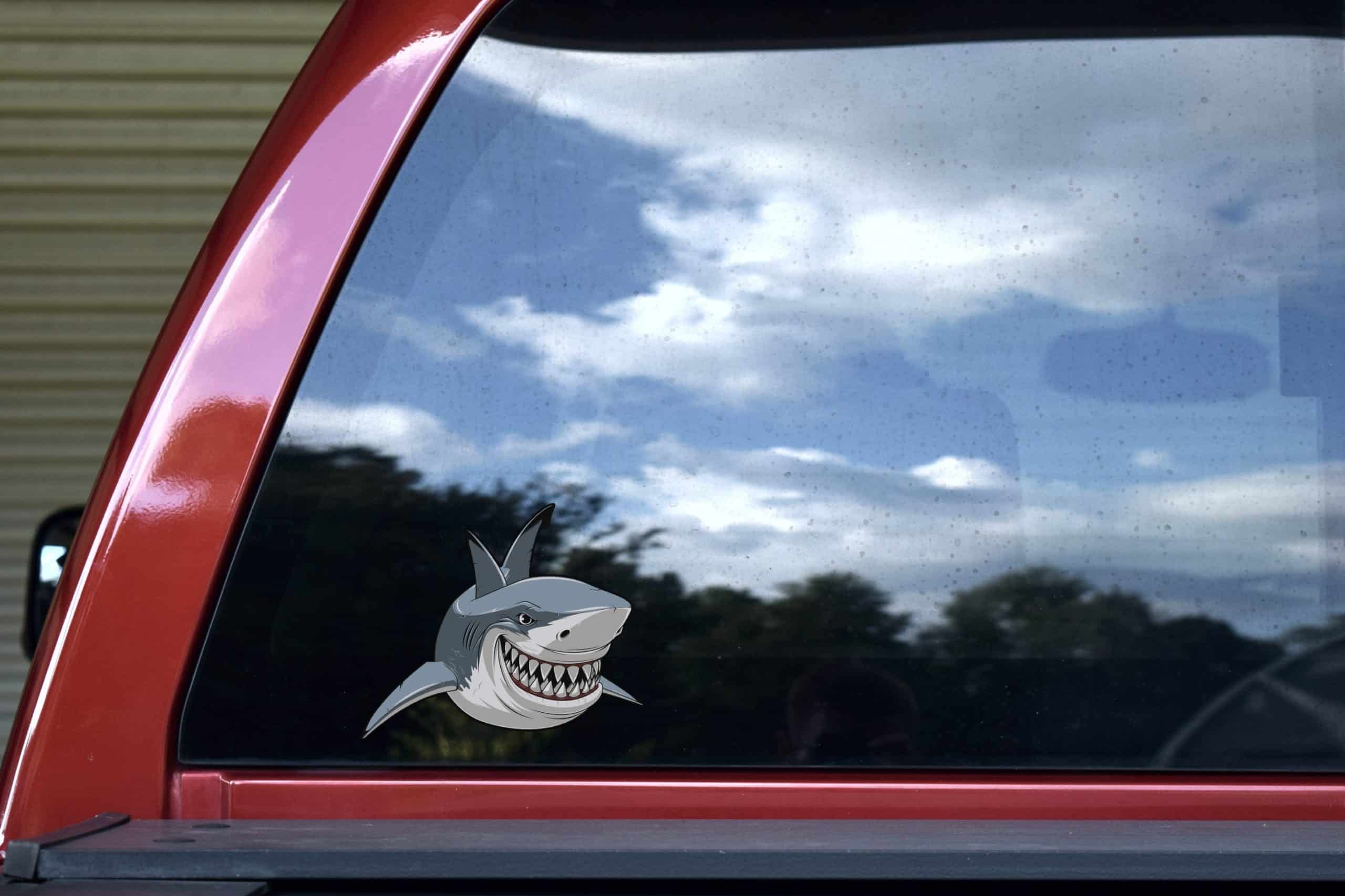 cartoon shark illustration, detailed teeth, gill slits - vinyl removable sticker