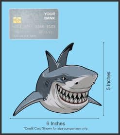 cartoon shark illustration, detailed teeth, gill slits - vinyl removable sticker