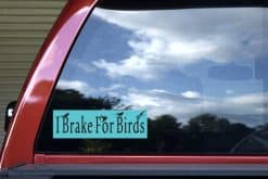 typography, bird silhouettes, hummingbird accent - vinyl removable sticker