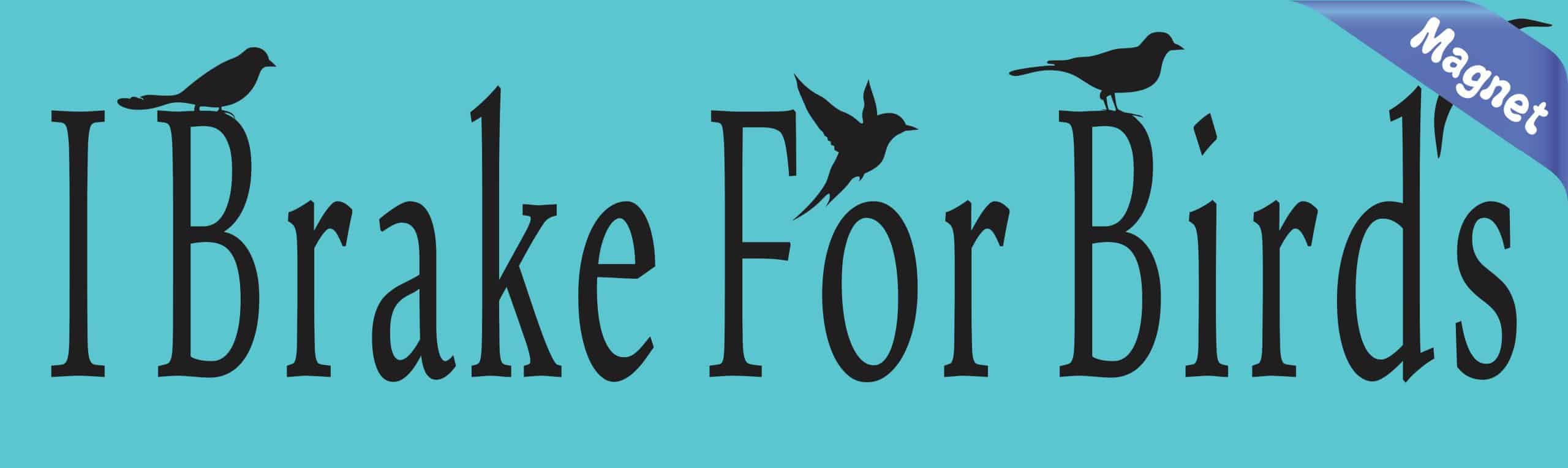 typography text, bird silhouettes, hummingbird graphic - vinyl removable magnet