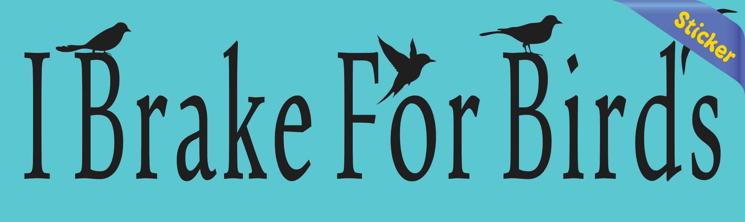 typography, bird silhouettes, hummingbird accent - vinyl removable sticker