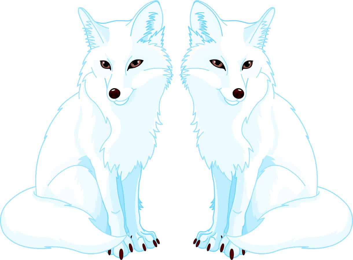 two Arctic wolves, amber eyes, minimalist style - vinyl removable sticker