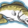 detailed bass fish illustration, realistic fin details, orange-yellow eye accent - vinyl removable sticker