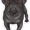 cartoon pug illustration, detailed facial features, brown eyes - vinyl removable sticker