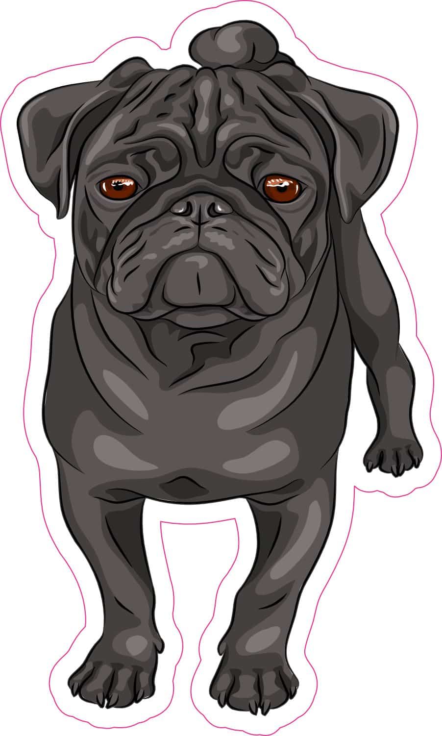 cartoon pug illustration, detailed facial features, brown eyes - vinyl removable sticker
