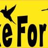 StickerTalk I Brake For Birds, 10 inches by 3 inches