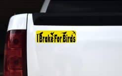 StickerTalk I Brake For Birds, 10 inches by 3 inches