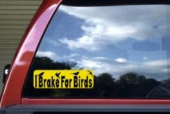 StickerTalk I Brake For Birds, 10 inches by 3 inches