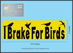 StickerTalk I Brake For Birds, 10 inches by 3 inches