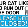 gray cat illustration, text message, blue banner section - vinyl removable sticker