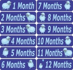 Baby Month Stickers