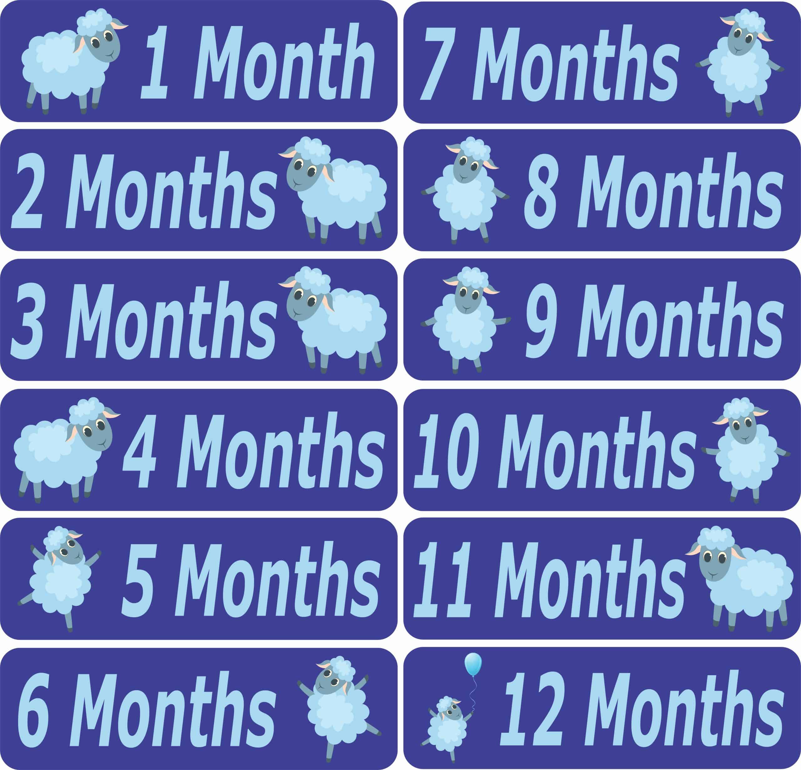 Baby Month Stickers