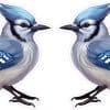 StickerTalk Mirrored Blue Jay Vinyl Sticker Sheet, 2.8 inches by 3 inches