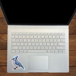 StickerTalk Mirrored Blue Jay Vinyl Sticker Sheet, 2.8 inches by 3 inches