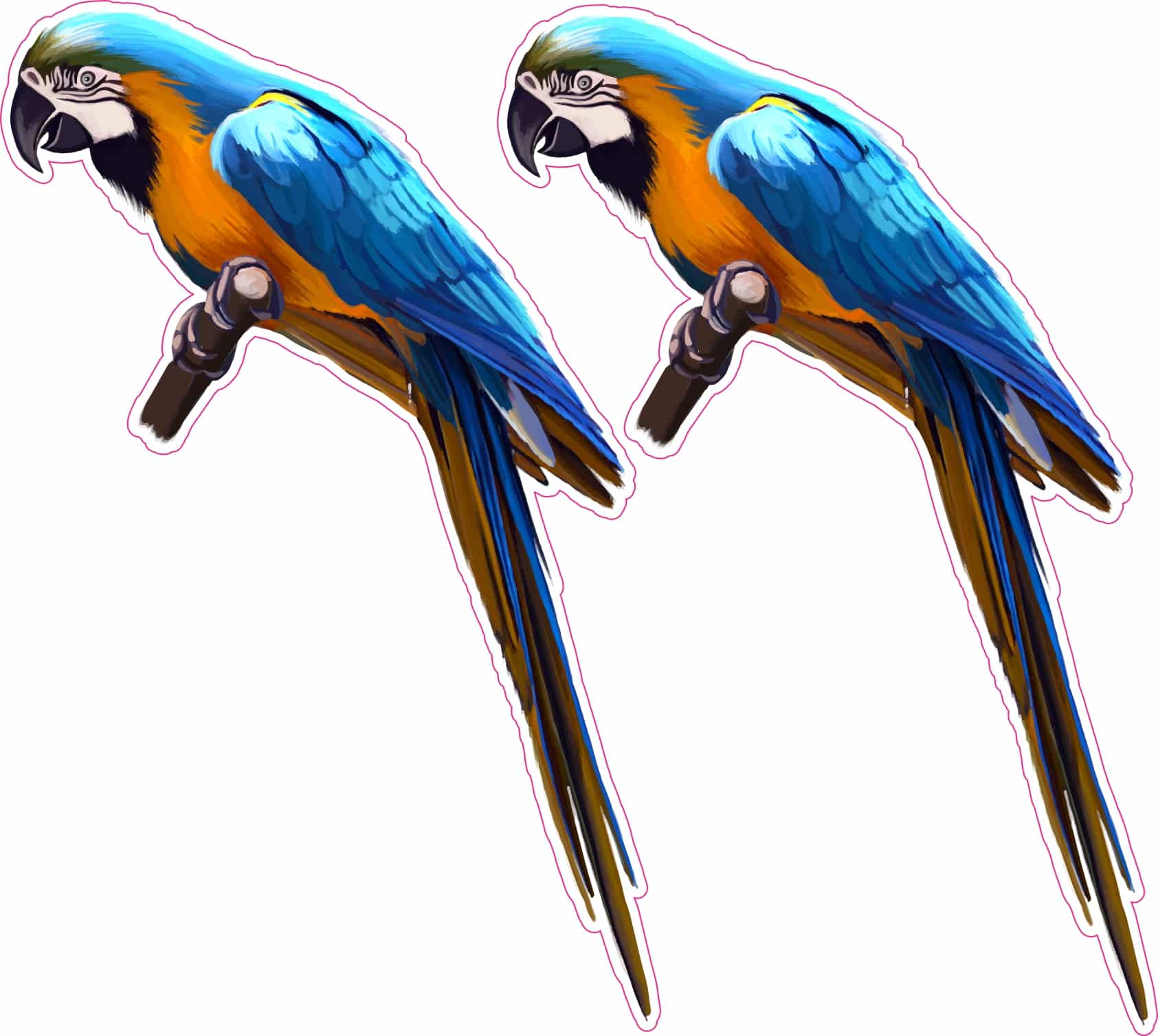 StickerTalk Macaw Vinyl Sticker Sheet, 3.2 inches by 5 inches