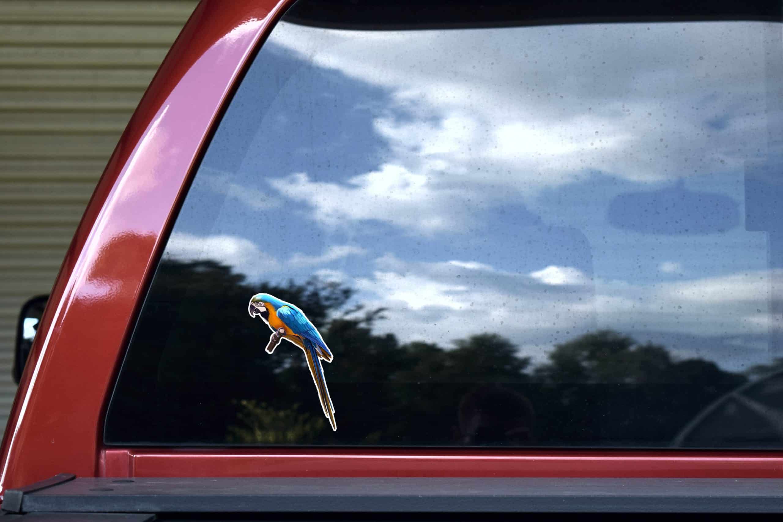 StickerTalk Macaw Vinyl Sticker Sheet, 3.2 inches by 5 inches