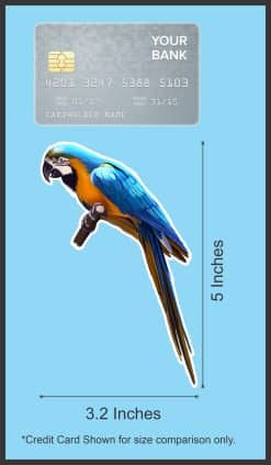StickerTalk Macaw Vinyl Sticker Sheet, 3.2 inches by 5 inches