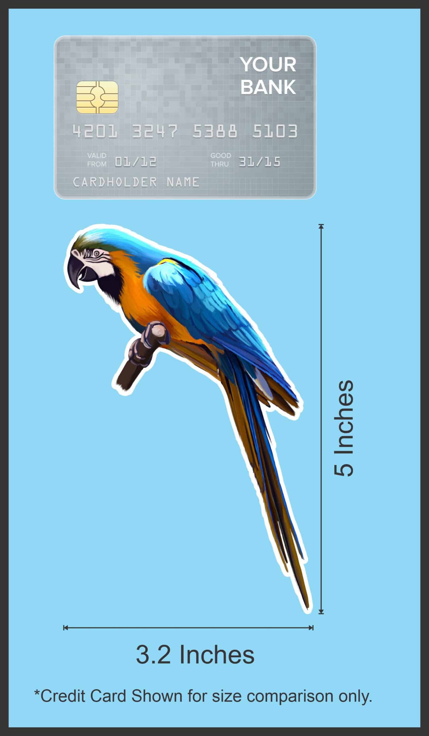 StickerTalk Macaw Vinyl Sticker Sheet, 3.2 inches by 5 inches