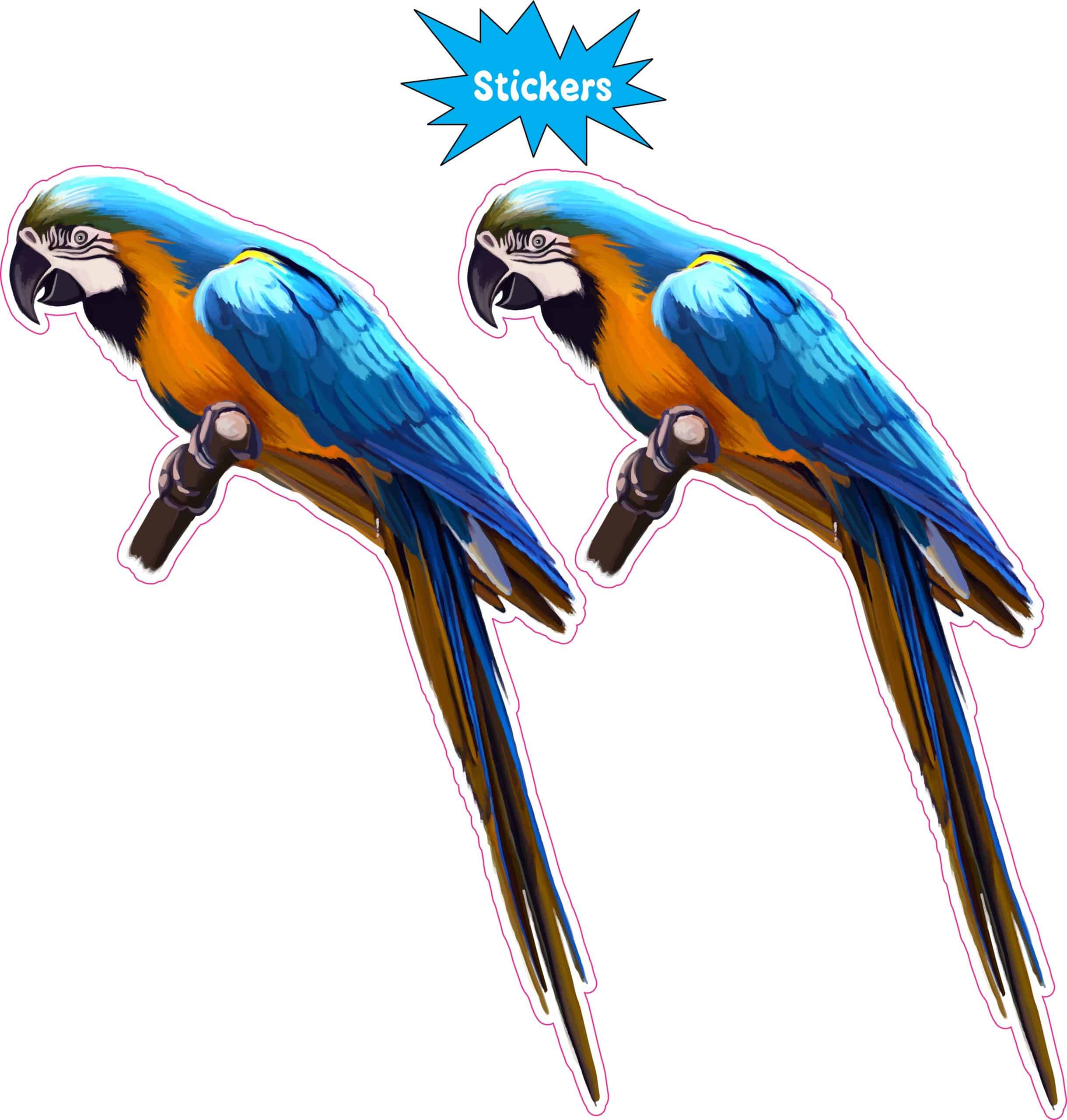 StickerTalk Macaw Vinyl Sticker Sheet, 3.2 inches by 5 inches - Image 2