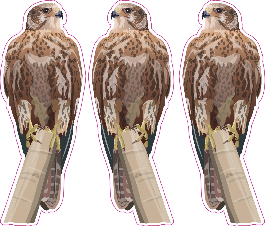 StickerTalk Greater Kestrel Vinyl Sticker Sheet, 1.2 inches by 3 inches