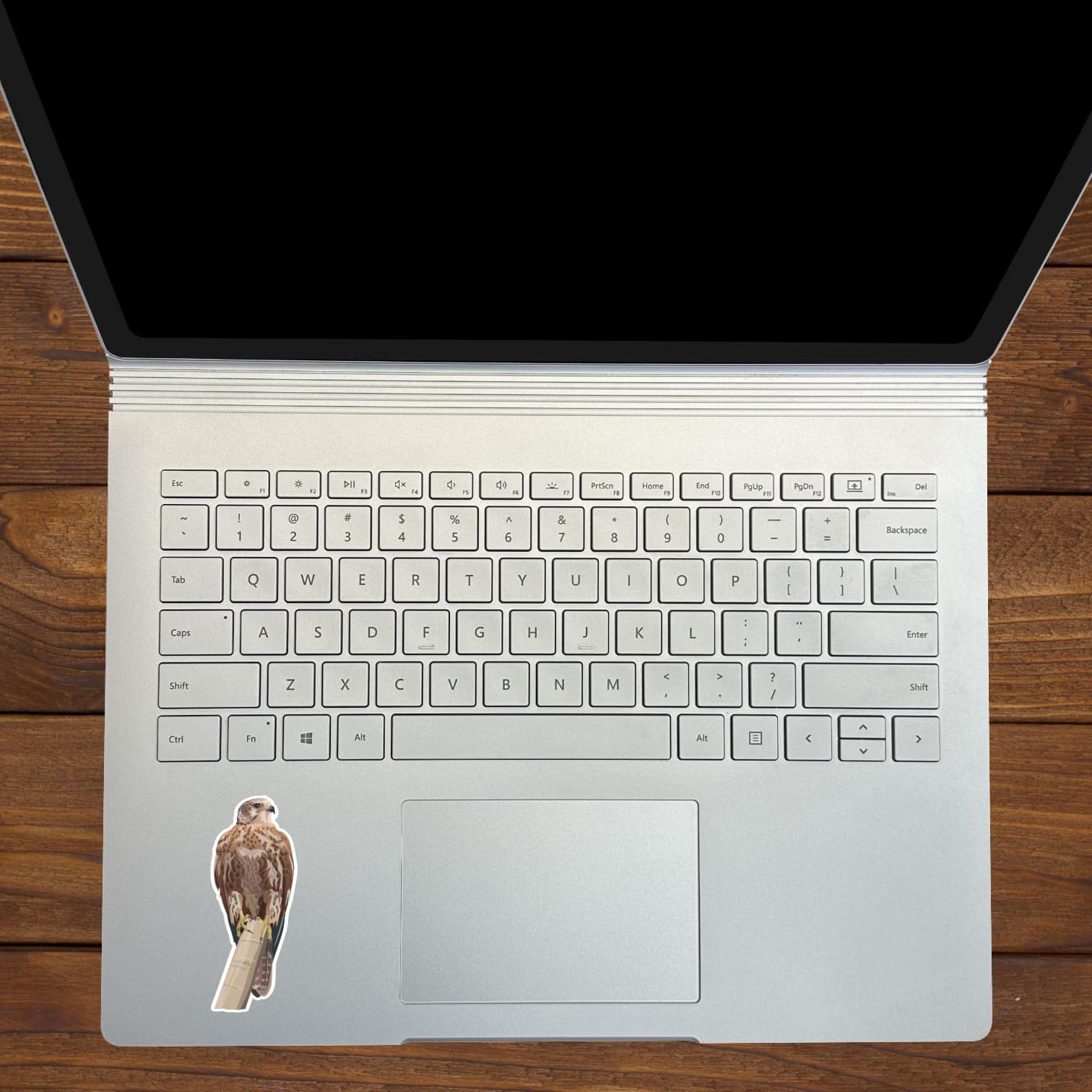 StickerTalk Greater Kestrel Vinyl Sticker Sheet, 1.2 inches by 3 inches