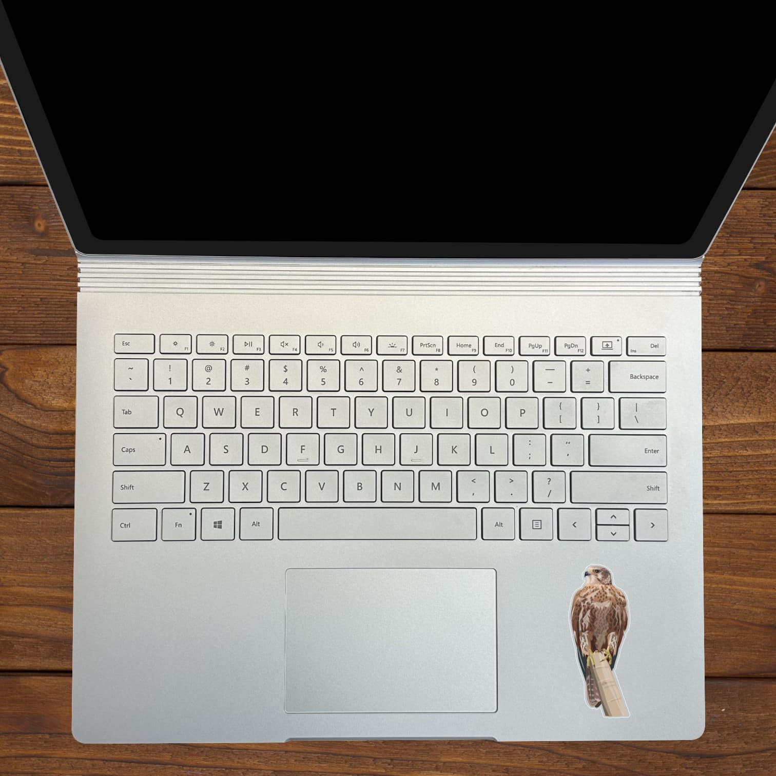StickerTalk Greater Kestrel Vinyl Sticker Sheet, 1.2 inches by 3 inches
