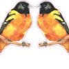 StickerTalk Mirrored Oriole Vinyl Sticker Sheet, 2 inches by 3 inches