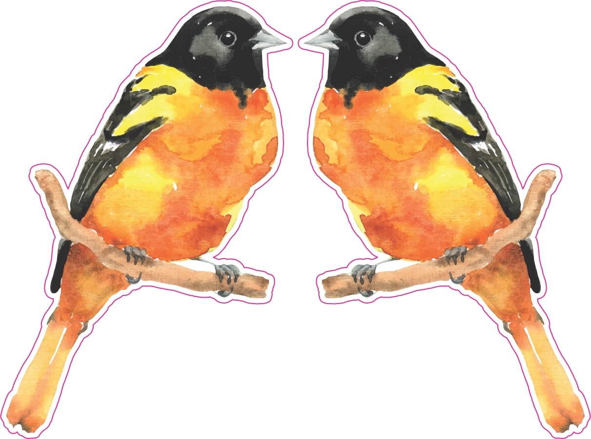 StickerTalk Mirrored Oriole Vinyl Sticker Sheet, 2 inches by 3 inches
