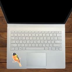 StickerTalk Mirrored Oriole Vinyl Sticker Sheet, 2 inches by 3 inches