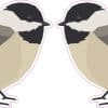 StickerTalk Mirrored Carolina Chickadee Vinyl Sticker Sheet, 2.5 inches by 1.5 inches