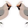 StickerTalk Cedar Waxwing Mirrored Vinyl Sticker Sheet, 3 inches by 2.5 inches
