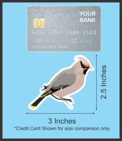 StickerTalk Cedar Waxwing Mirrored Vinyl Sticker Sheet, 3 inches by 2.5 inches