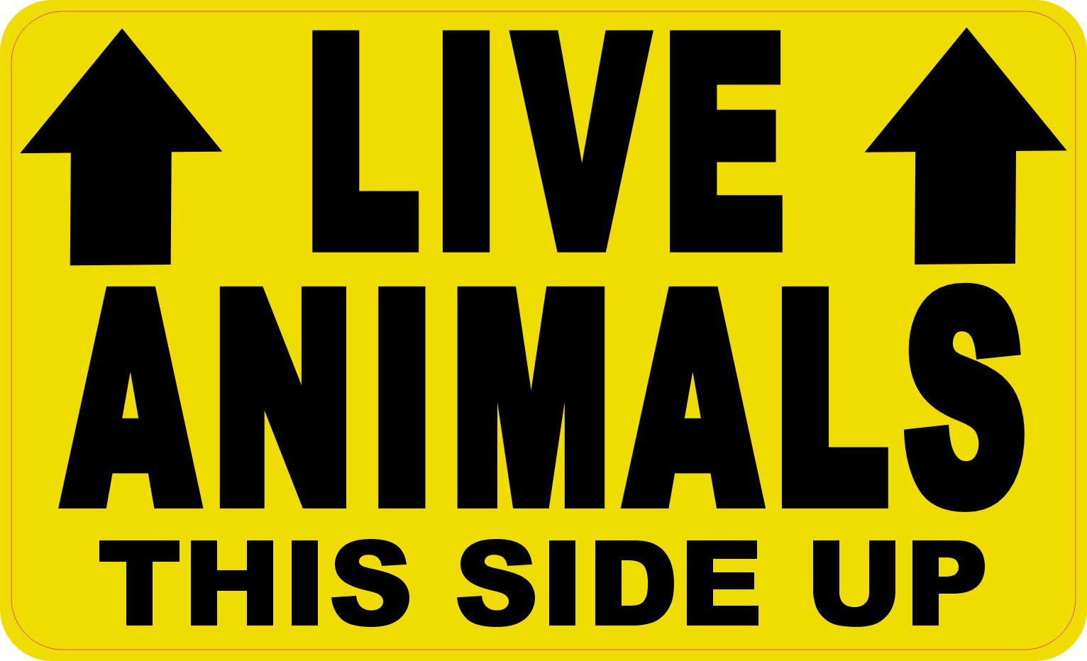 StickerTalk Live Animals This Side Up with Arrows Vinyl Sticker, 5 inches by 3 inches