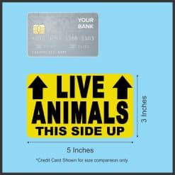 StickerTalk Live Animals This Side Up with Arrows Vinyl Sticker, 5 inches by 3 inches