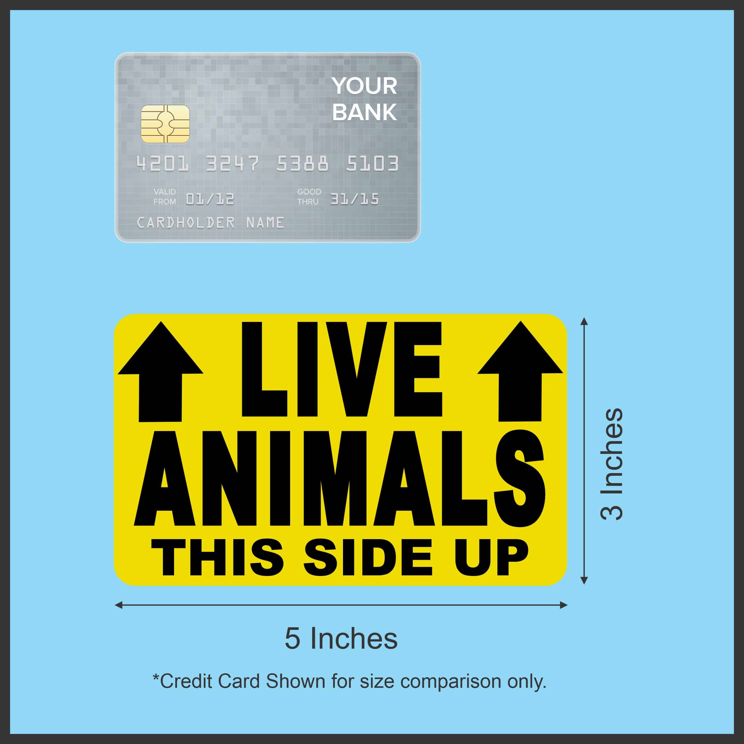 StickerTalk Live Animals This Side Up with Arrows Vinyl Sticker, 5 inches by 3 inches