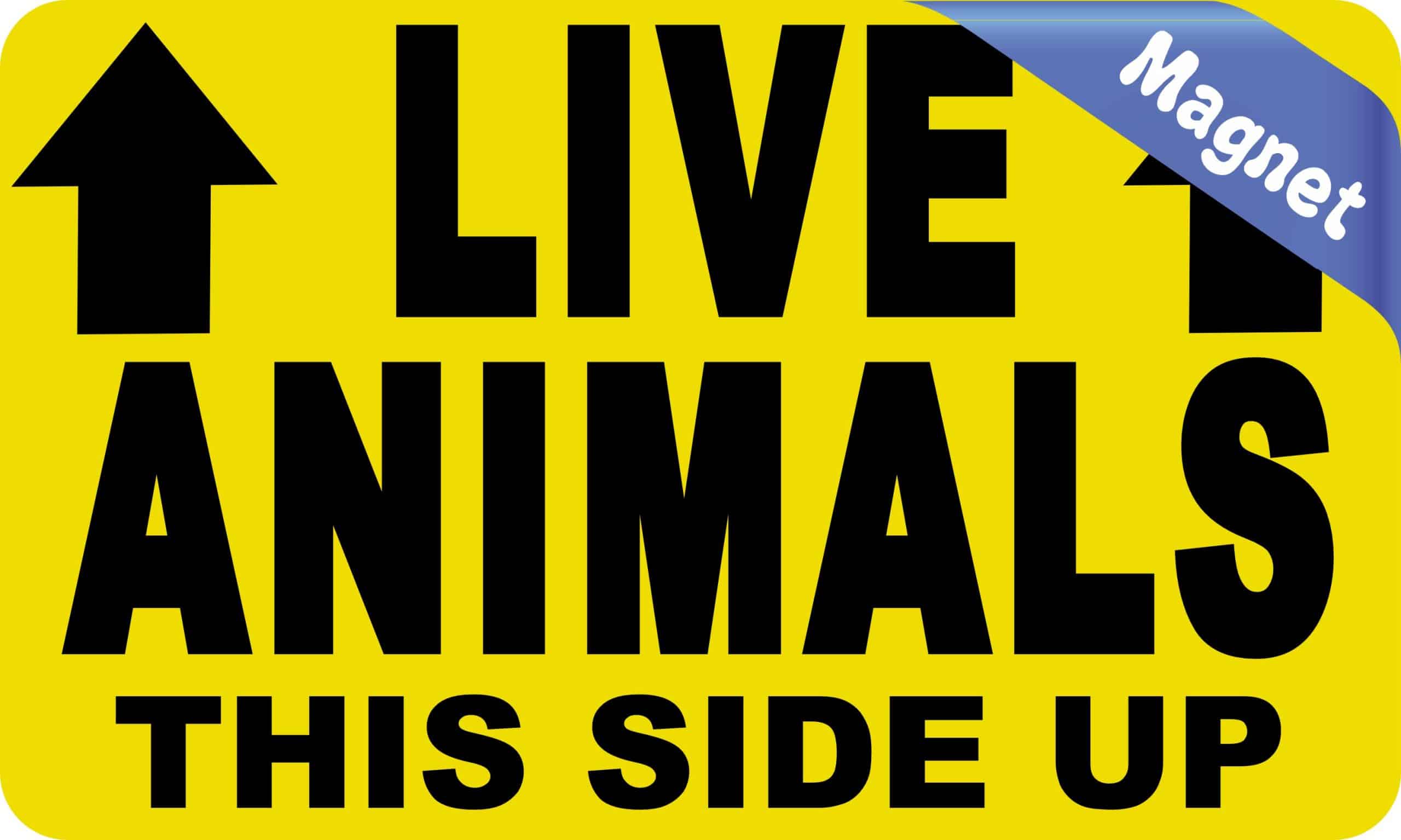 StickerTalk Live Animals This Side Up with Arrows Magnet, 5 inches by 3 inches
