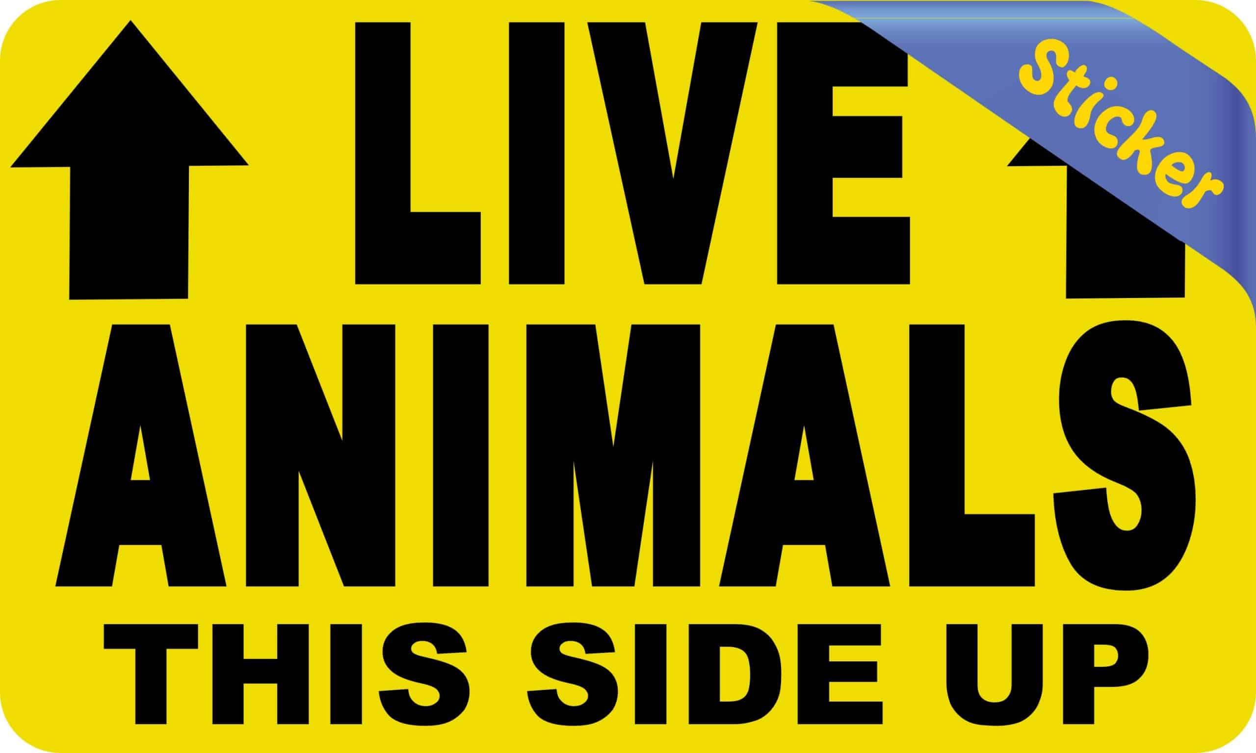 StickerTalk Live Animals This Side Up with Arrows Vinyl Sticker, 5 inches by 3 inches