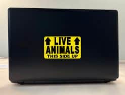 StickerTalk Live Animals This Side Up with Arrows Vinyl Sticker, 5 inches by 3 inches