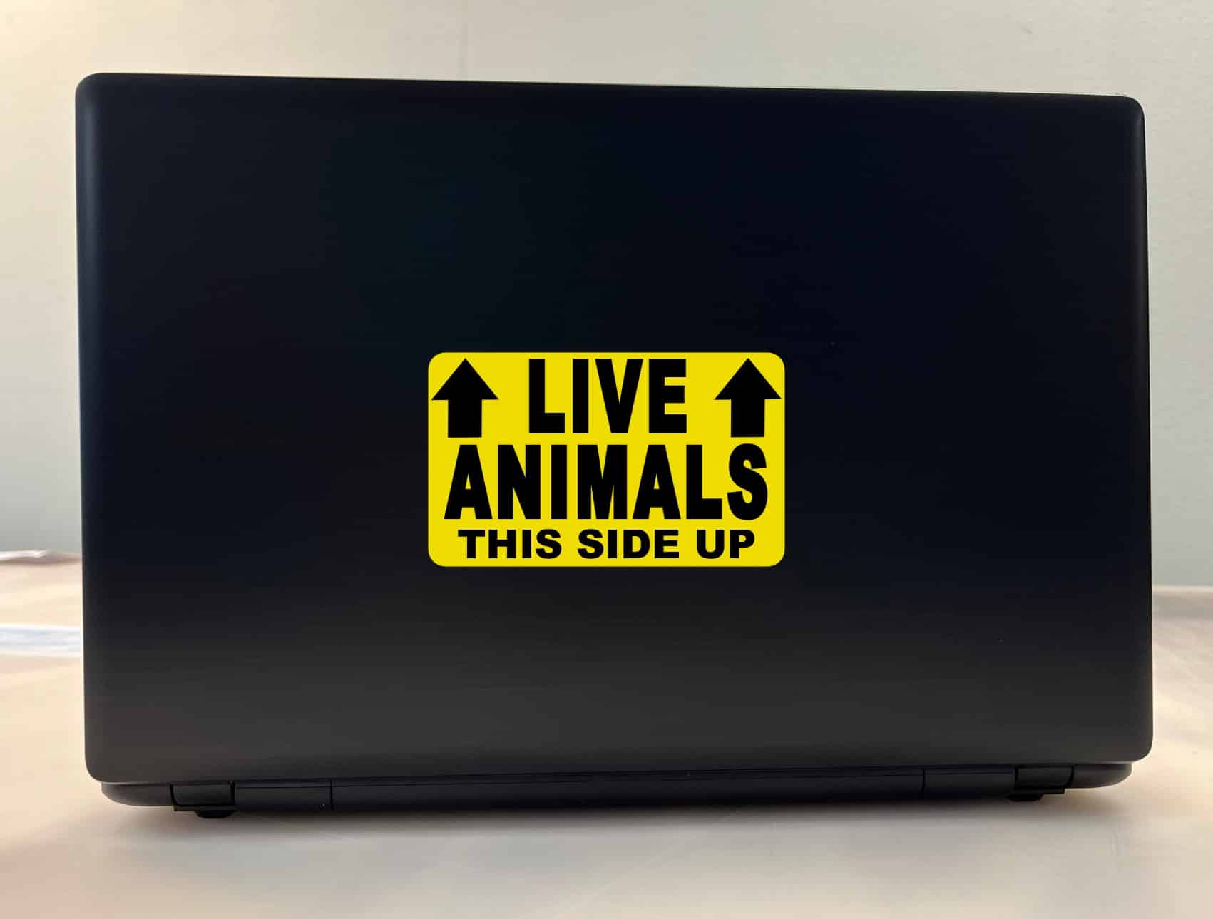 StickerTalk Live Animals This Side Up with Arrows Vinyl Sticker, 5 inches by 3 inches