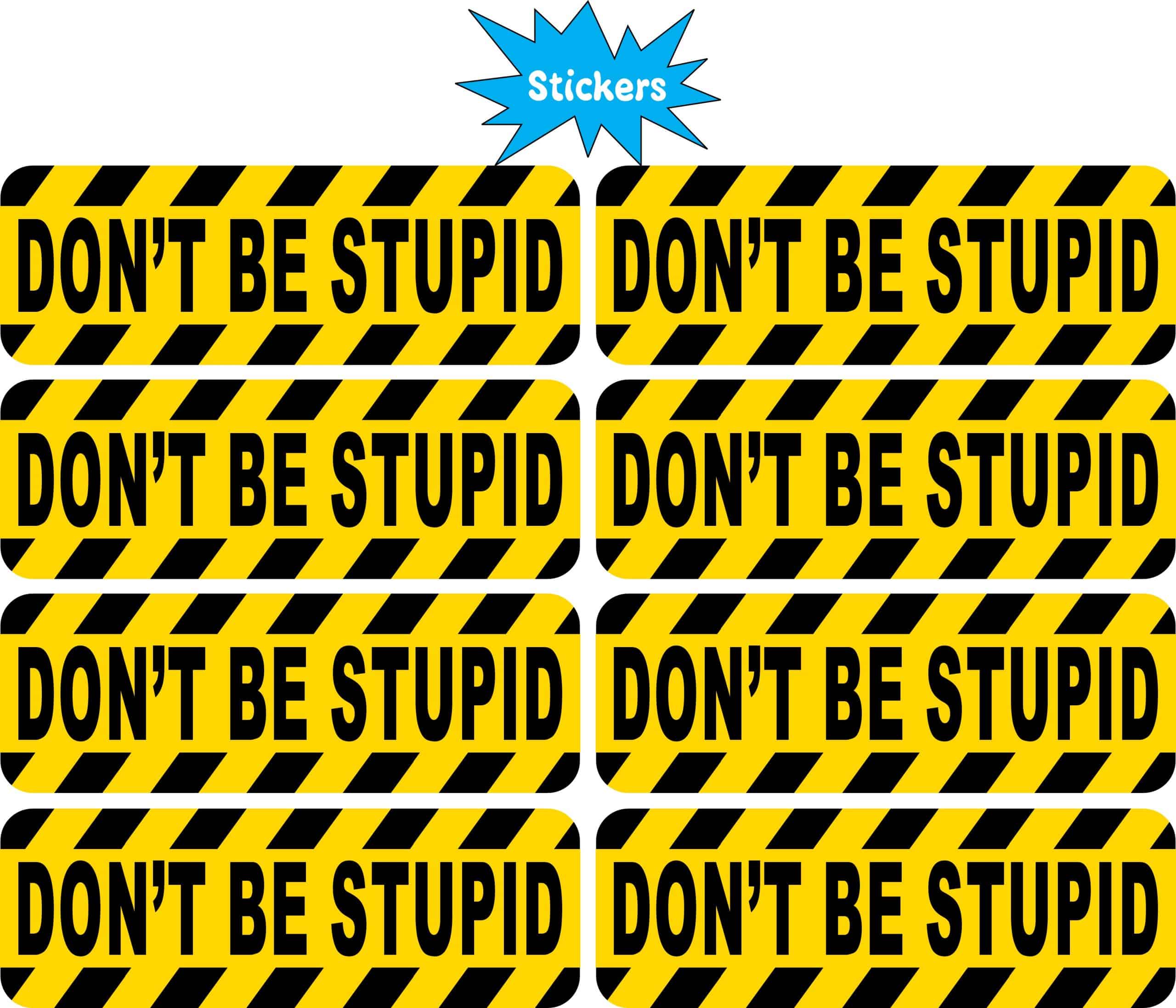 StickerTalk Don't Be Stupid Vinyl Sticker Sheet, 3 inches by 1 inch